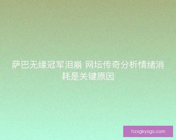 萨巴无缘冠军泪崩 网坛传奇分析情绪消耗是关键原因