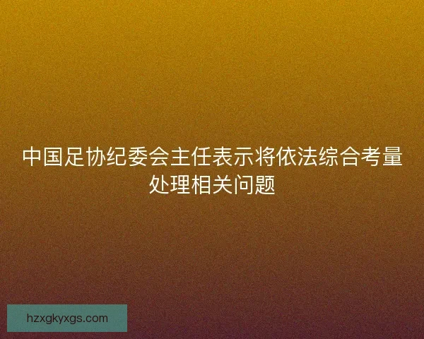中国足协纪委会主任表示将依法综合考量处理相关问题