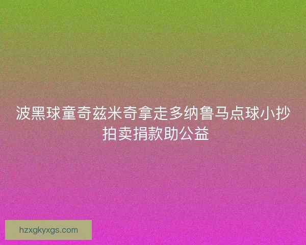 波黑球童奇兹米奇拿走多纳鲁马点球小抄 拍卖捐款助公益