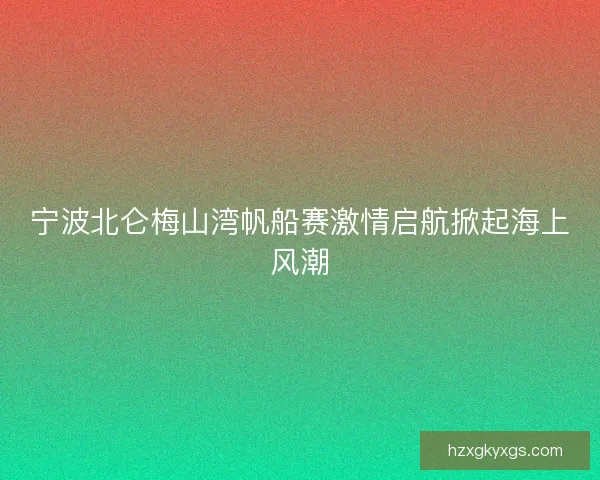 宁波北仑梅山湾帆船赛激情启航掀起海上风潮