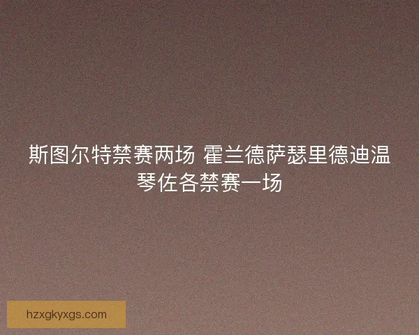 斯图尔特禁赛两场 霍兰德萨瑟里德迪温琴佐各禁赛一场